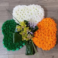 Shamrock 