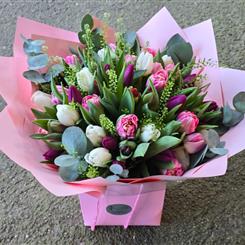 Mixed Tulips Hand-tied 