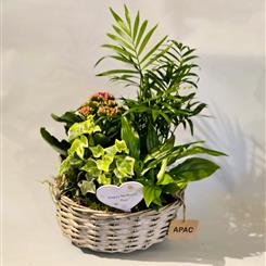 Basket arrangement 