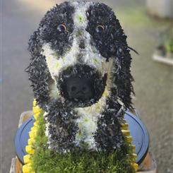 Dog funeral tribute 